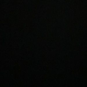 Meet your Posher, Dylan